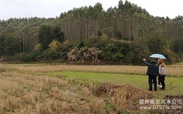 宁河区陈老师带着爱徒寻龙点穴